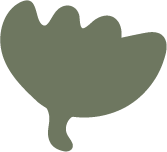 Cotton_icon_44ca1121-3baf-4207-b318-2b3e44563433.png