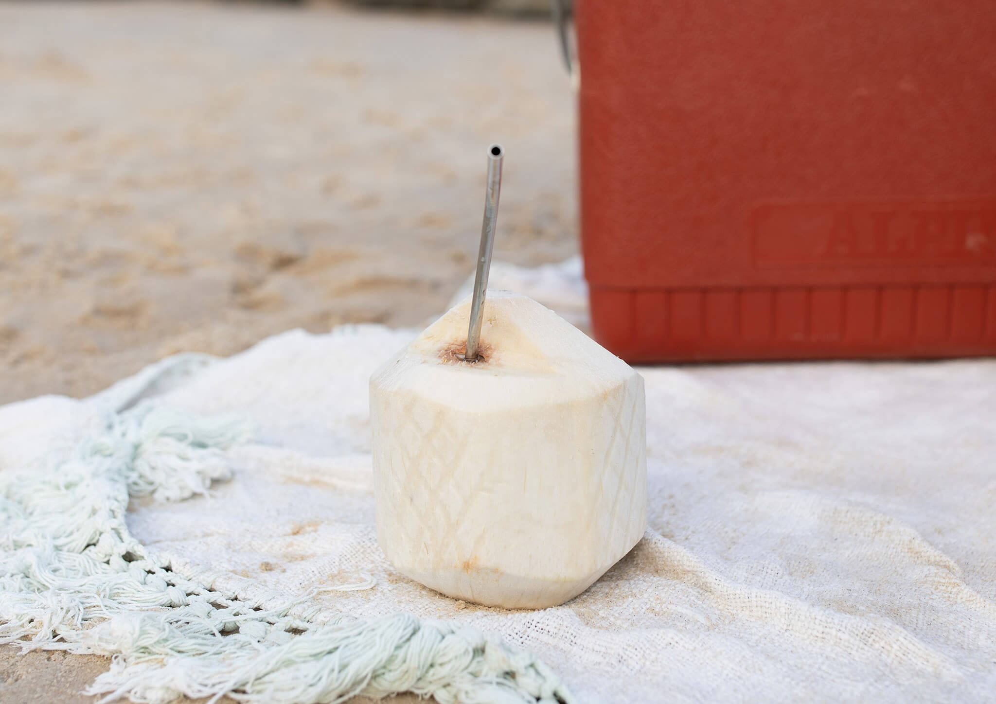 Coconut_on_Beach_d5773d08-c477-42c3-a0c0-c4a0b53d64c6.jpg