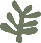 Non_toxic_icon_green_2_a067b3c7-d30e-41d4-9a37-5a00a5ba5820.png